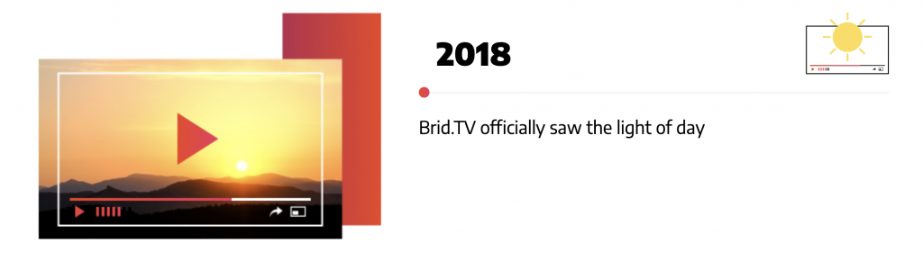 Brid.TV Video Platform