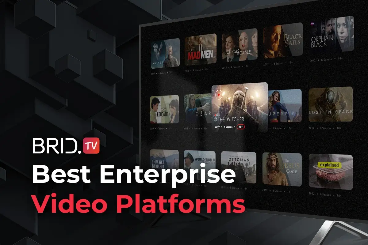 best enterprise video platforms by Brid.TV